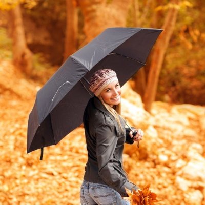 Toyota Prius 2in1 esernyő + táska